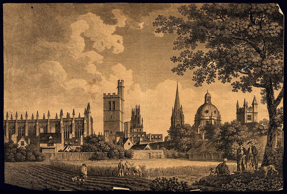 City of Oxford: cityscape from the meadows, showing All Souls and Oriel Colleges, St. Mary's Church, Radcliffe Camera and…