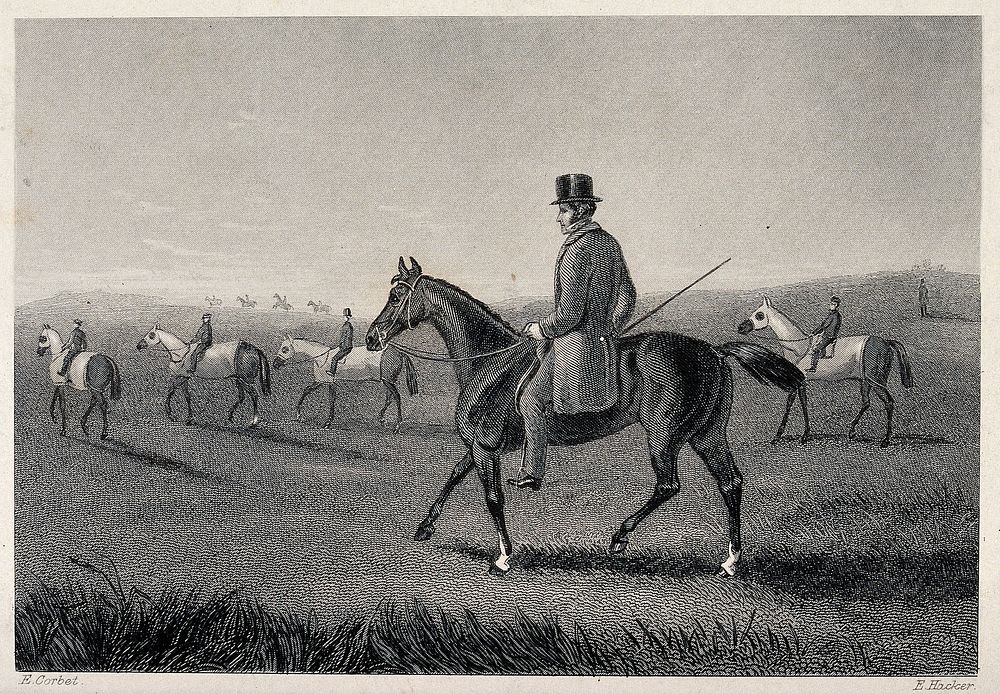 A group of riders with their horses on a meadow. Etching by E. Hacker after E. Corbet.