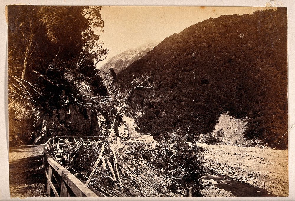 New Zealand: a road through a gorge with a river. Albumen print.