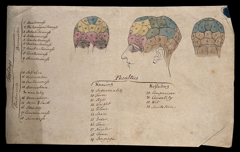 Three perspectives of a head divided according to phrenological 'faculties', with key. Colour pen drawing.