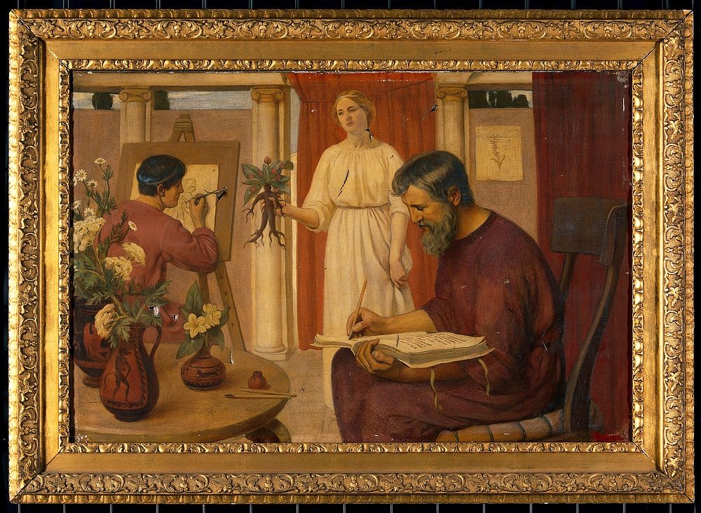 Dioscorides describing the mandrake. Oil painting by Ernest Board, 1909.