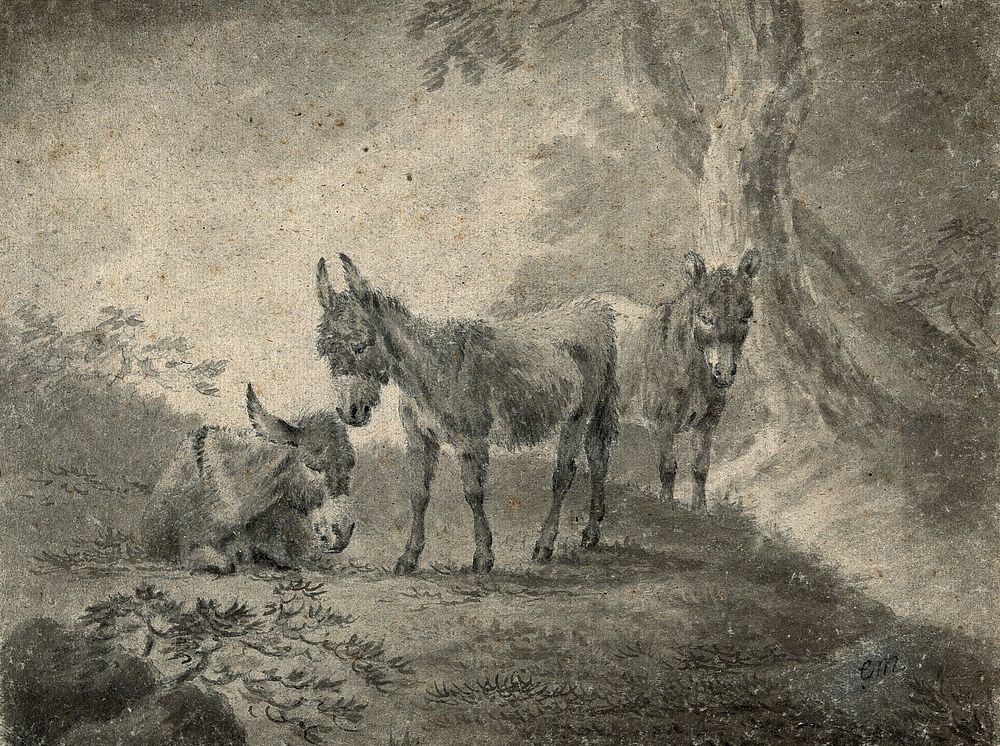 Three donkeys standing next to a tree in a forest. Watercolour with pencil.