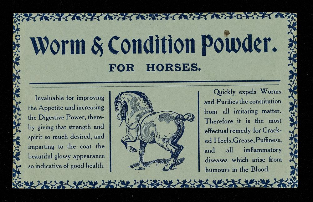 Worm & condition powder : for horses.