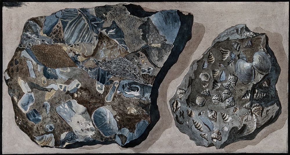 Two mineral specimens found in the Fossa Grande on Mount Vesuvius. Coloured etching by Pietro Fabris, 1776.