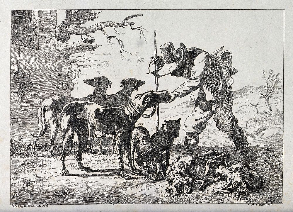 A hunter with seven dogs. Etching by W. A. Delamotte after P. van Laer.