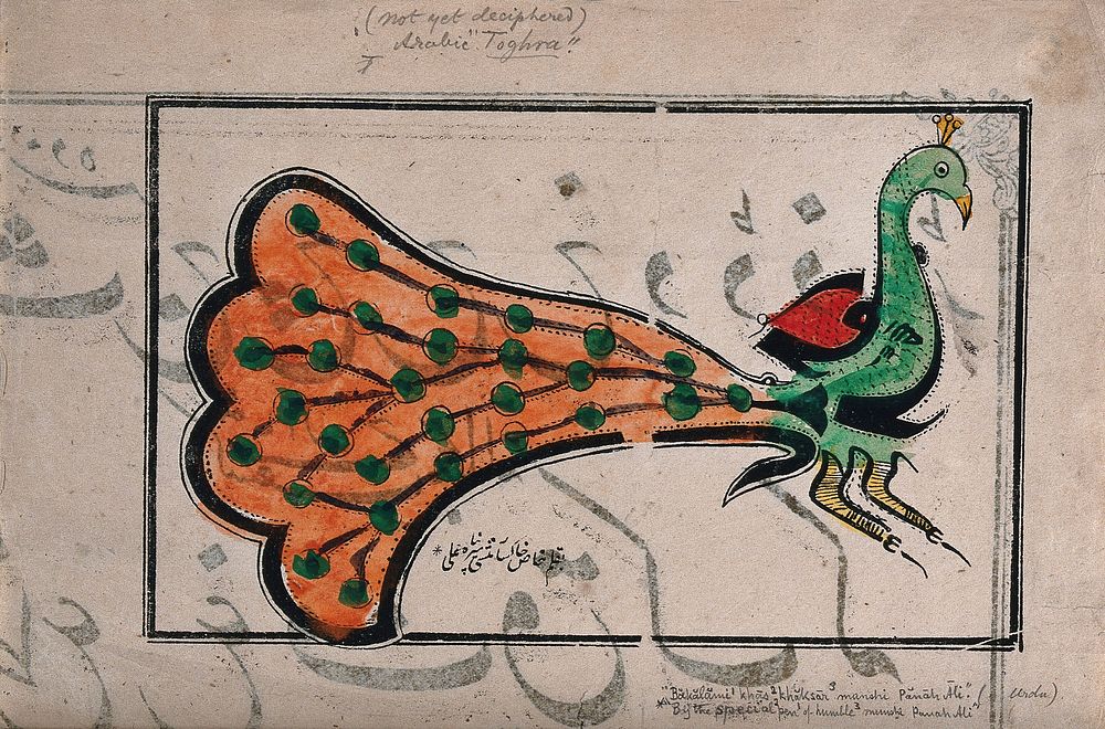 A peacock forming a tughra (cipher). Woodcut by an Indian artist, late 1800s.