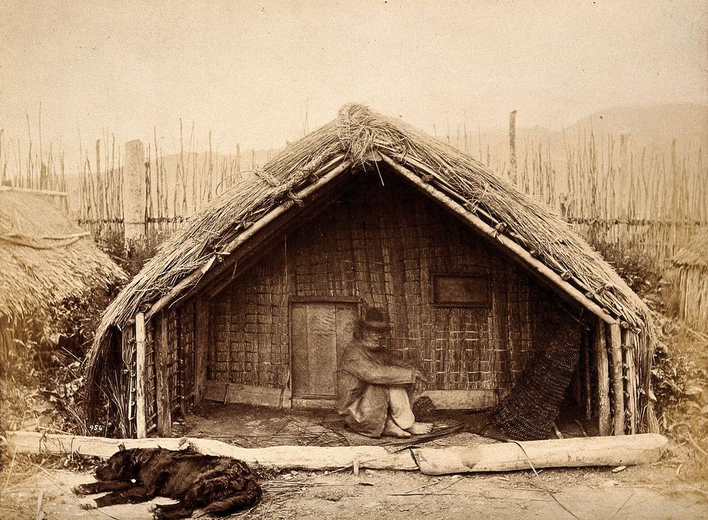 New Zealand: a Maori man sitting in front of a traditional house. Albumen print.