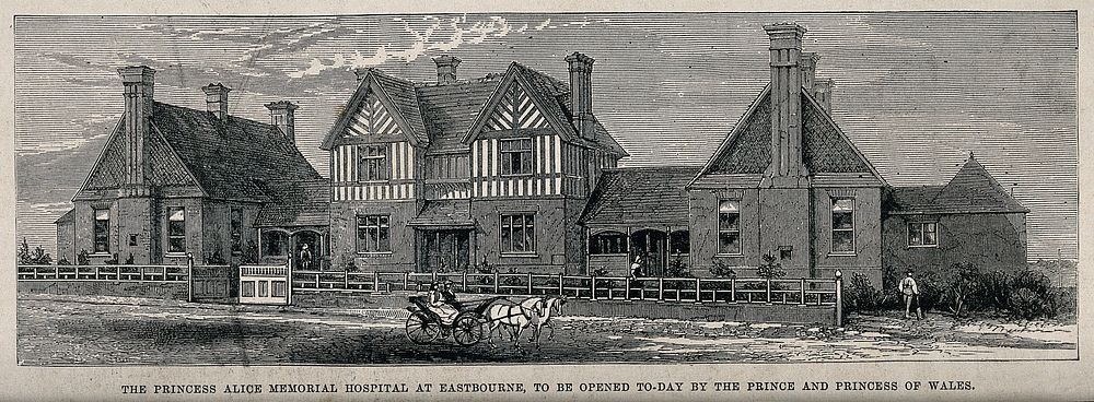 Princess Alice Memorial Hospital, Eastbourne: perspective view. Wood engraving, 1883.