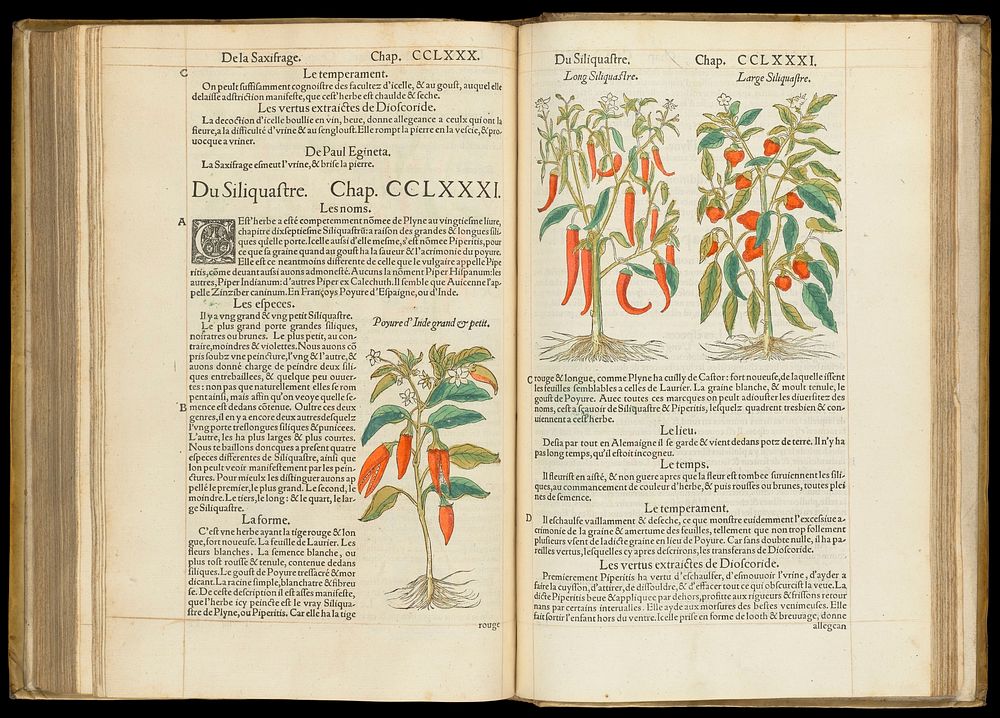Commentaires tres excellens de l'hystoire des plantes composez premierement en latin ... et depuis nouvellement traduictz en…