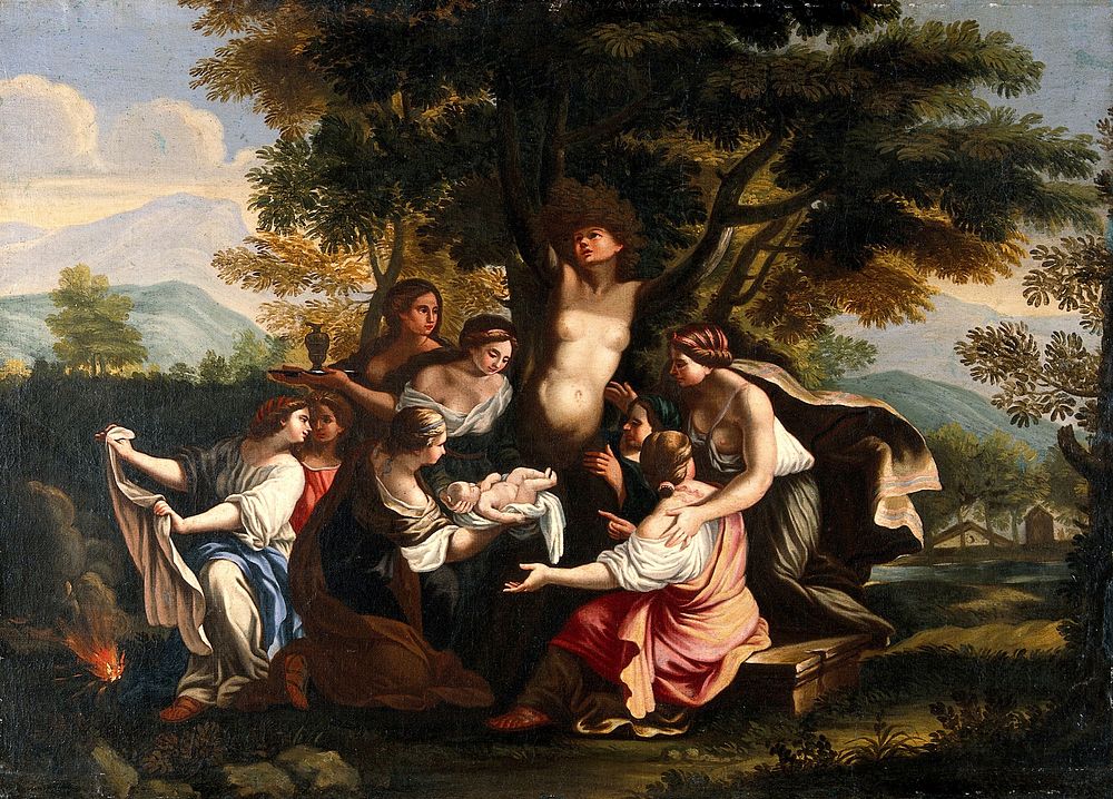 Myrrha, being transformed into the myrrh tree, gives birth to Adonis. Oil painting by a follower of Luigi Garzi.