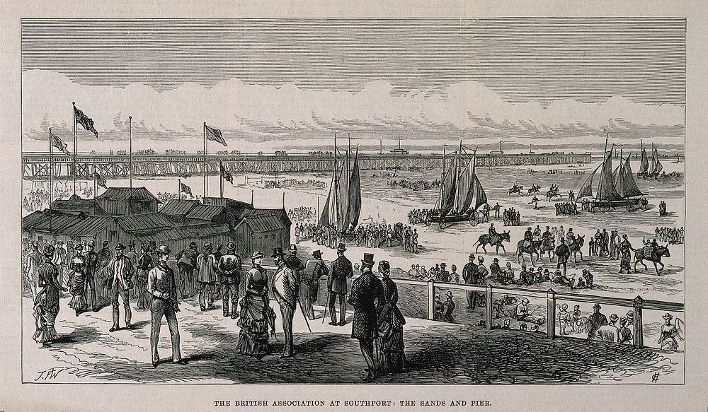 Members of the British Association at Southport: in the distance the sands and pier. Wood engraving by H.C.  after F.J. W. .