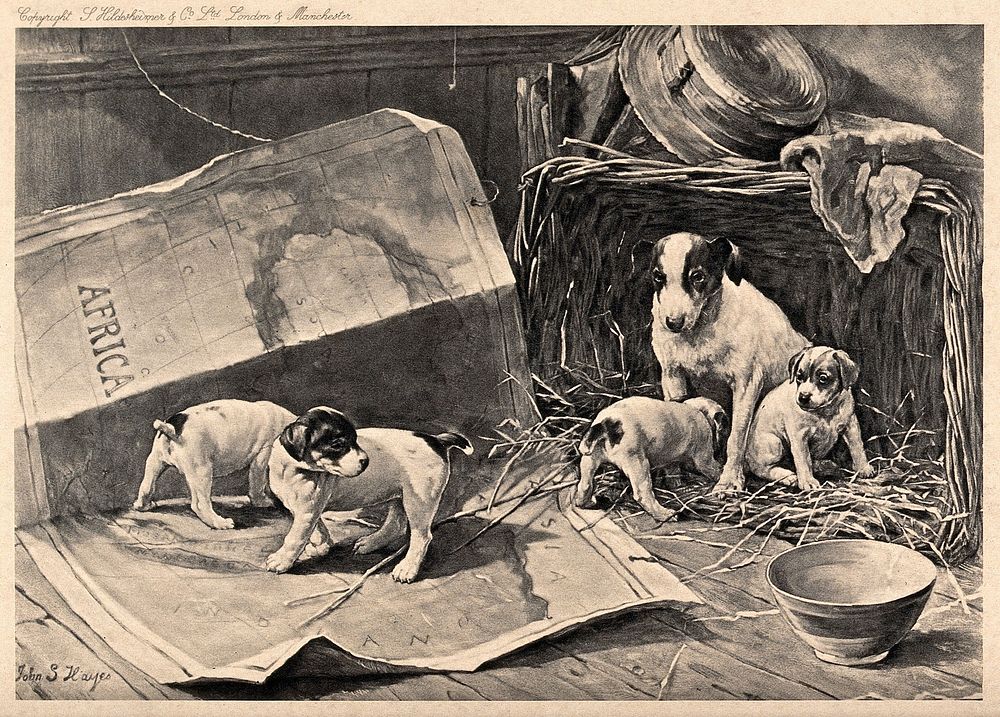 A bitch is sitting in a basket watching her puppies play on a carthographic map on the ground. Line block after J. S. Hayes.