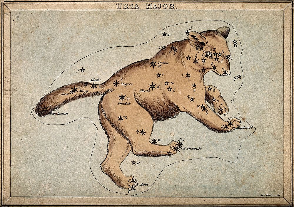 Astrology: constellations, the Great Bear. Coloured engraving.