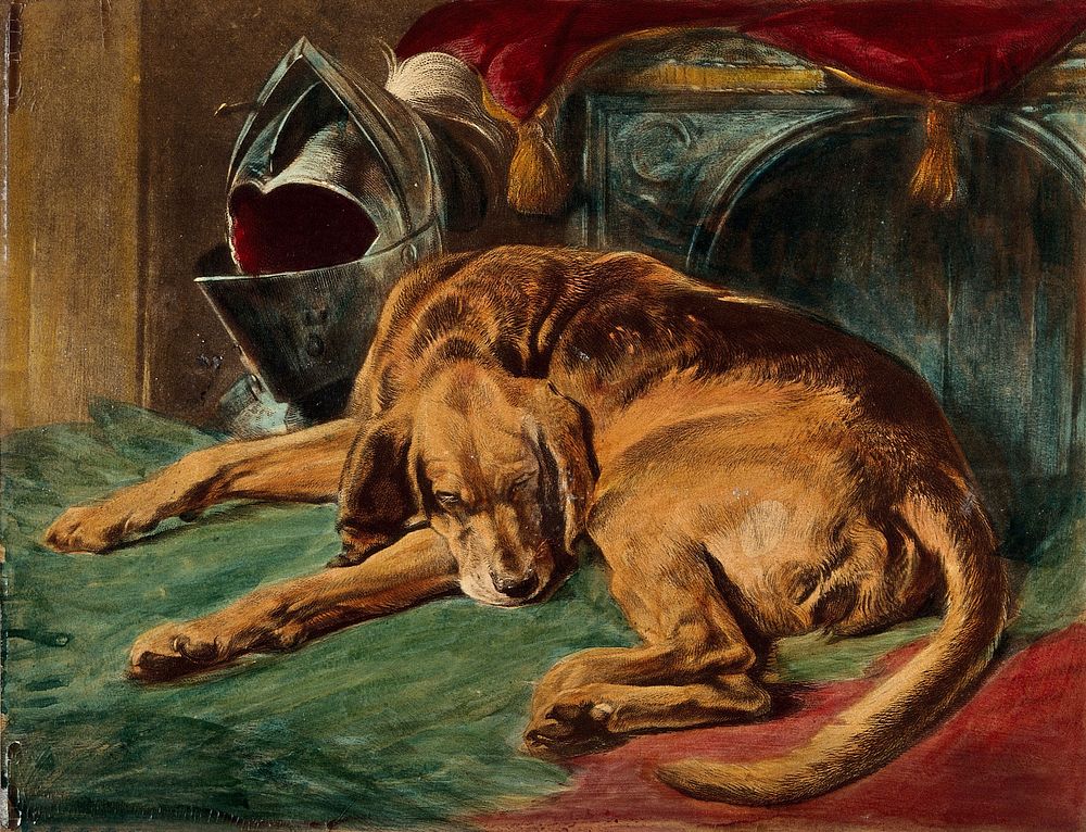 A dead bloodhound lying on a rug next to a helmet and a loom. Coloured lithograph after E. H. Landseer.