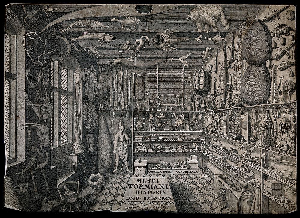 The museum of Ole Worm, Copenhagen: interior. Engraving, 1655.