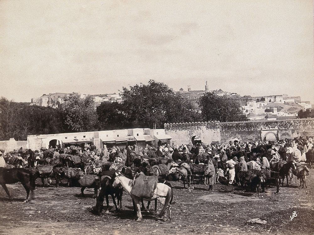 Algeria : marketplace with horses and donkeys carrying heavy loads. Photograph.