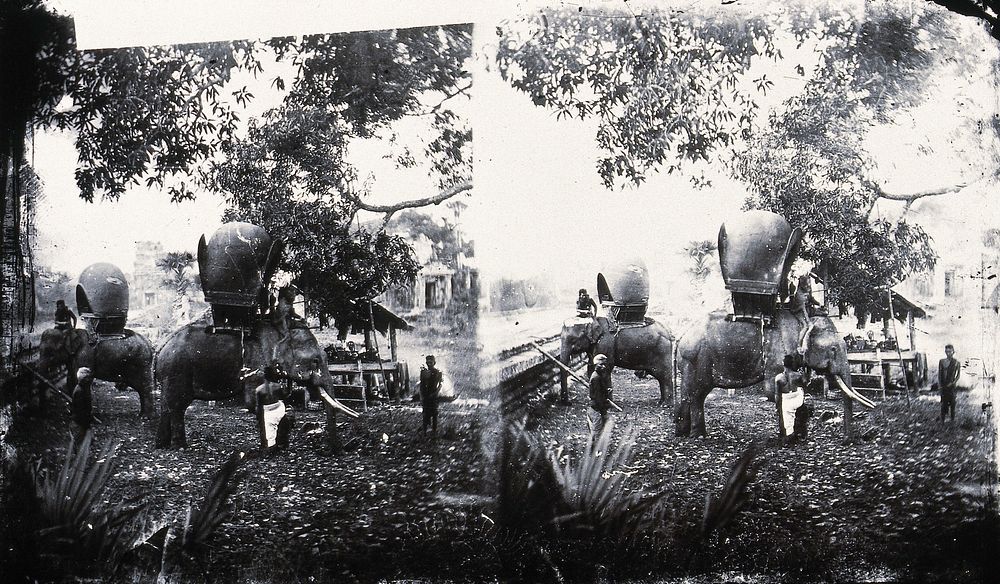 Cambodia. Photograph, 1981, from a negative by John Thomson, 1865.