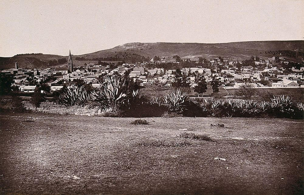 Grahamstown, South Africa: part of the town. Woodburytype, 1888, after a photograph by Robert Harris.