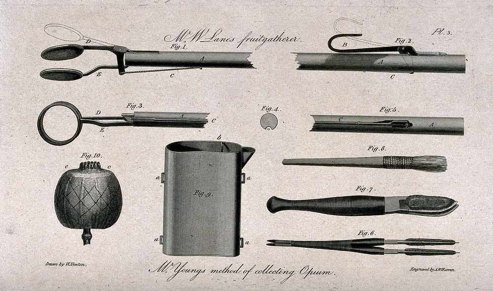 The implements used by Mr. Young in his experiments to collect opium in Scotland. Engraving by A. W. Warren, c. 1819, after…