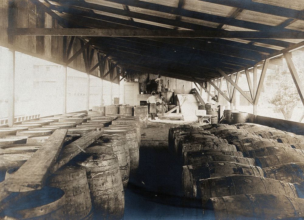 Ancon, Panama Canal Zone: a mosquito oil plant interior showing rows of barrels. Photograph, 1910.