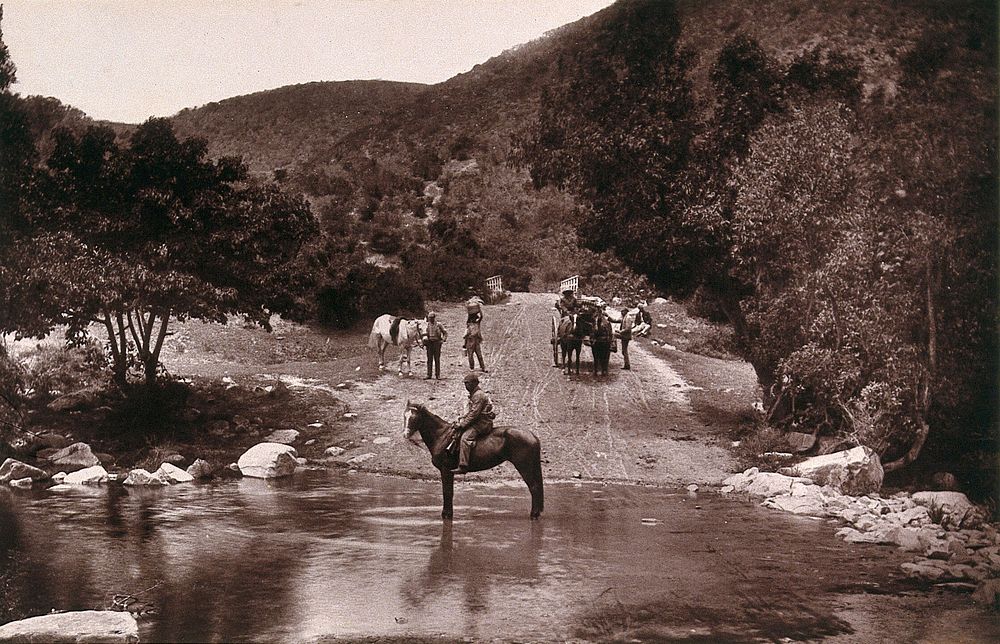 Van Staaden's Pass, South Africa: a river crossing on the Cape Road with horses and wagon. Woodburytype, 1888, after a…