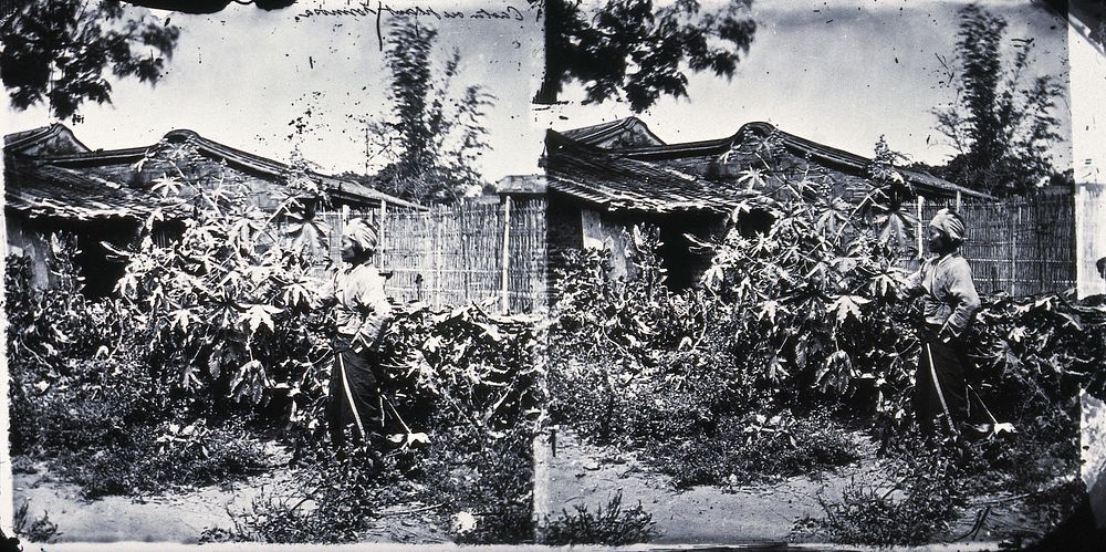 Formosa (Taiwan). Photograph, 1981, from a negative by John Thomson, ca. 1870.