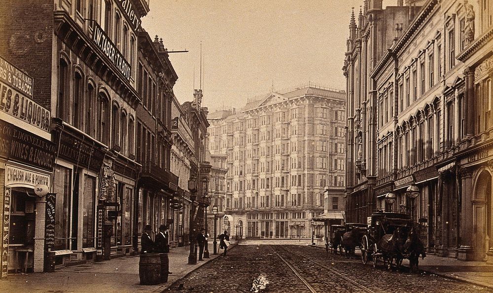 The Palace Hotel, San Francisco, California: exterior viewed from an adjacent street. Photograph, ca. 1880.