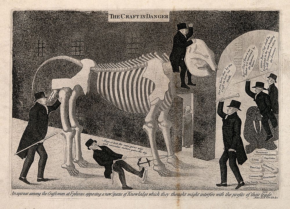Dr Barclay's advocation to the proposed professorship of comparative anatomy supported and opposed; represented by him…