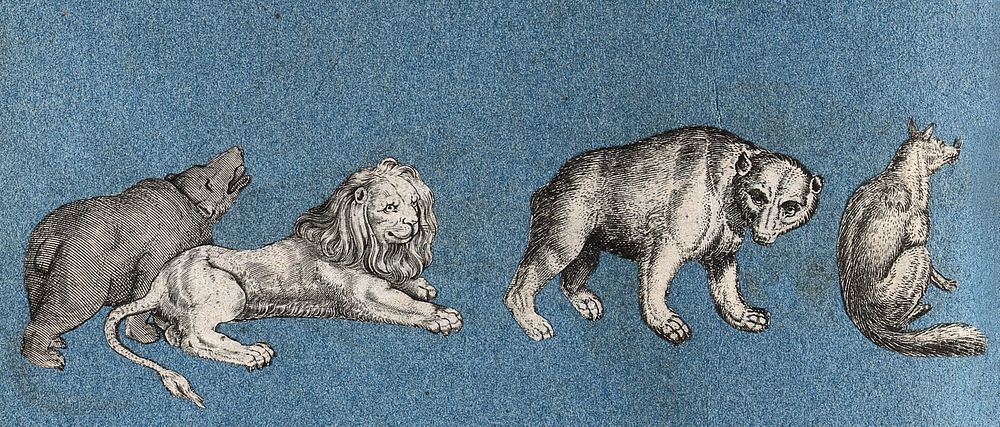 Two bears, a lion and a fox. Cut-out engraving pasted onto paper, 16--.