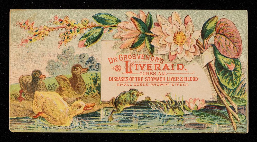 Dr. Grosvenor's Liveraid : cures all diseases of the stomach, liver & blood : small doses, prompt effect.