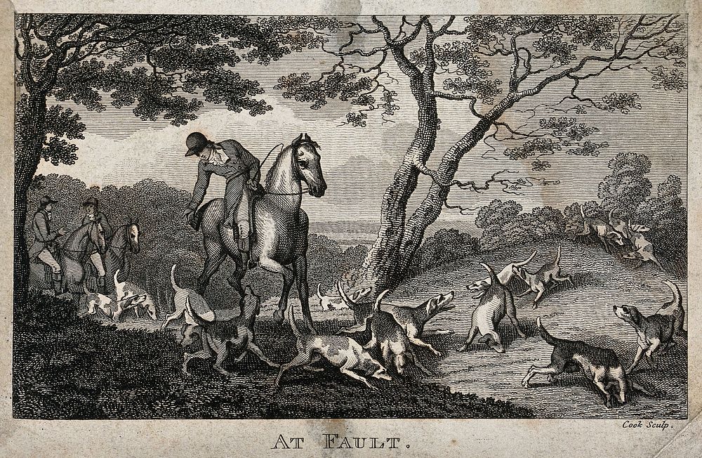 A group of mounted huntsmen with a pack of dogs in a forest. Etching by Cook.