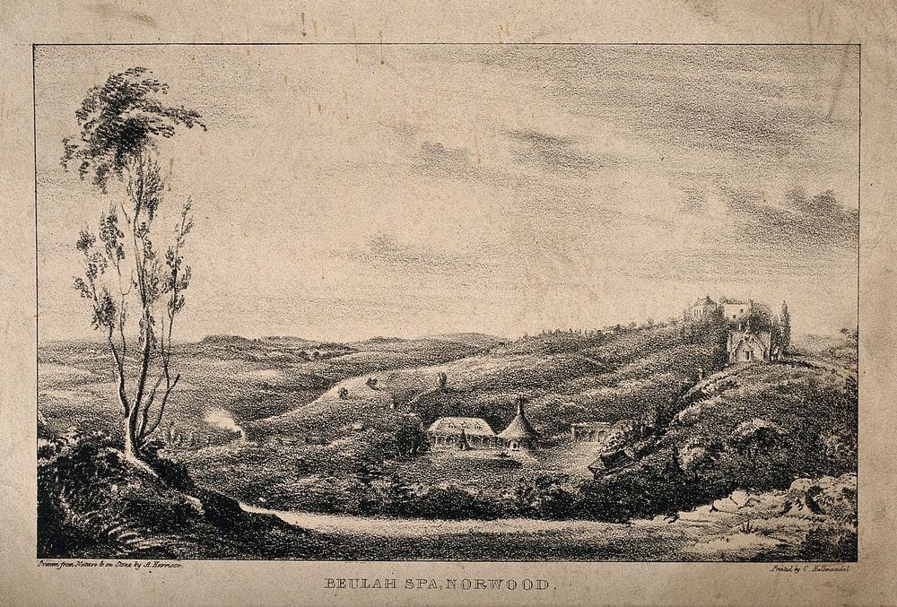 Beulah Spa, Norwood, Surrey. Lithograph by A. Harrison after himself.