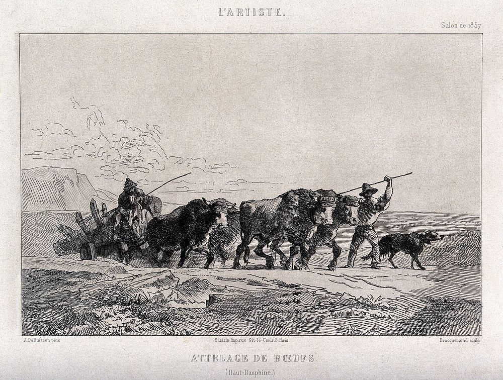 Woodmen driving an ox-cart carrying baulks of timber. Etching by F. Bracquemond after A. DuBuisson.