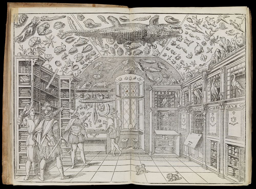 Woodcut of the Wunderkammer room, from Dell'historia naturale