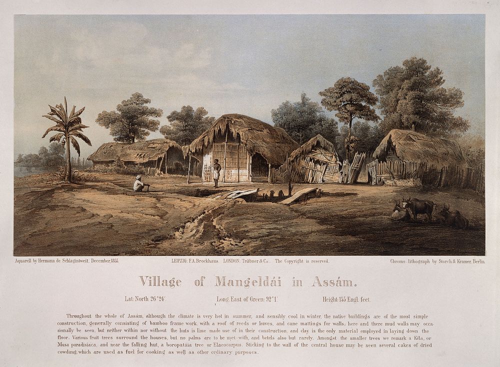 Village of Mangeldaiz, in Assam