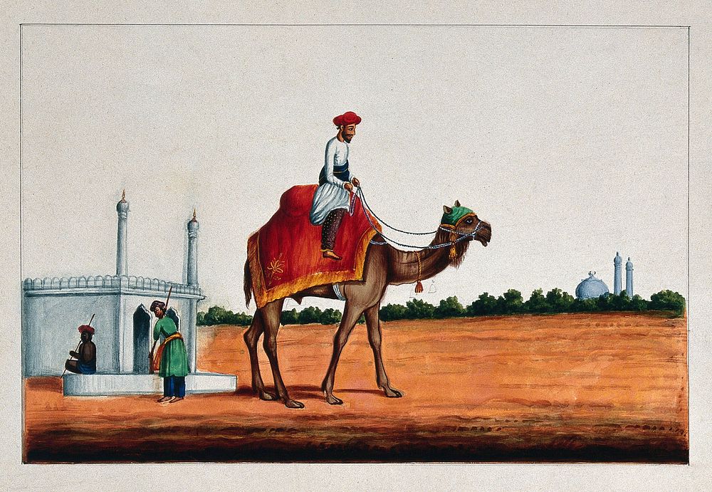 An Indian man riding a camel. Gouache painting by an Indian painter.