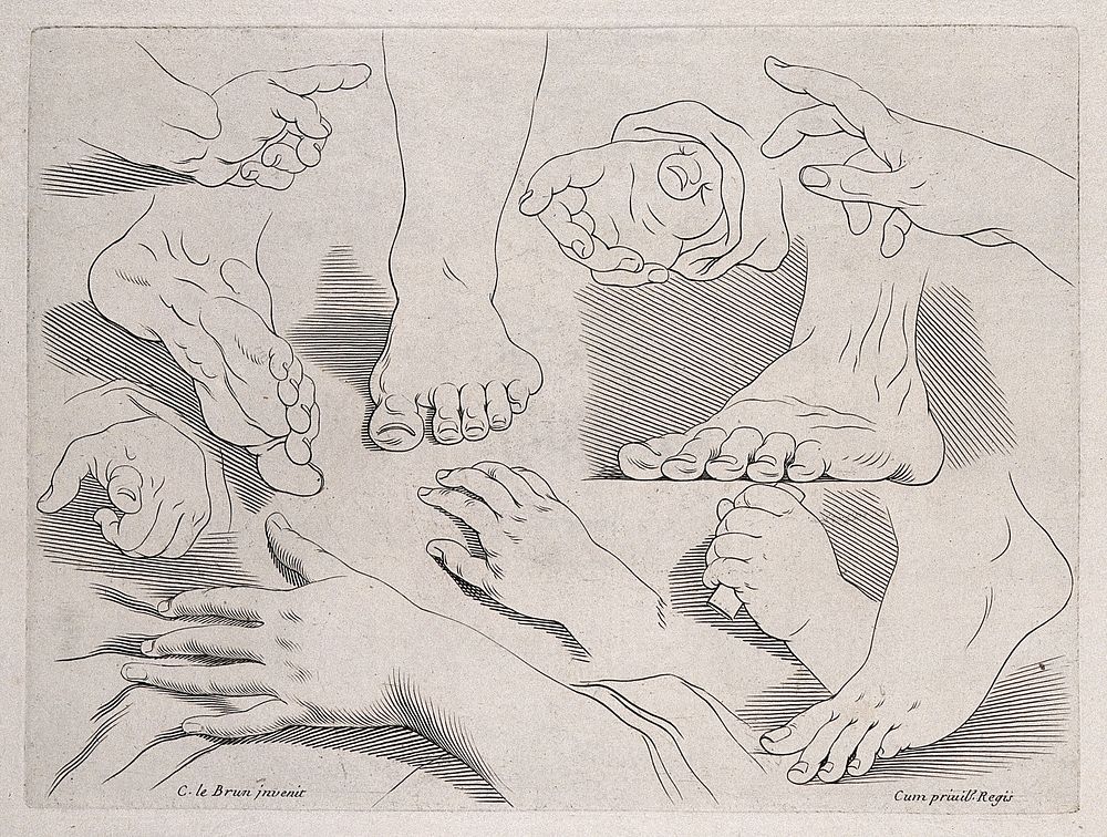 Hands and feet in outline. Engraving after C. Le Brun.