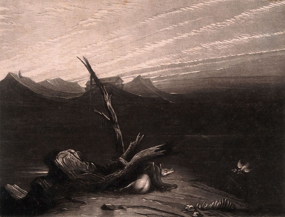 Noah's ark overlooks a scene of desolation from a mountainous horizon. Mezzotint with etching.