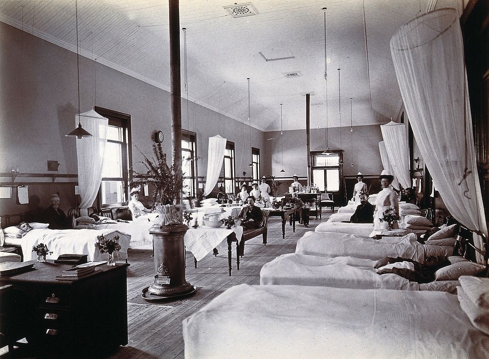Johannesburg Hospital, South Africa: hospital ward with male patients. Photograph, c. 1905.
