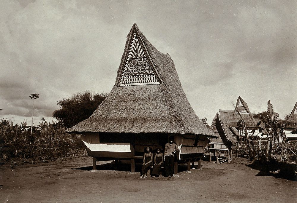 A house with a high, pointed thatch roof with decorative detail; behind it is a similar shaped house for fowl. Photograph…