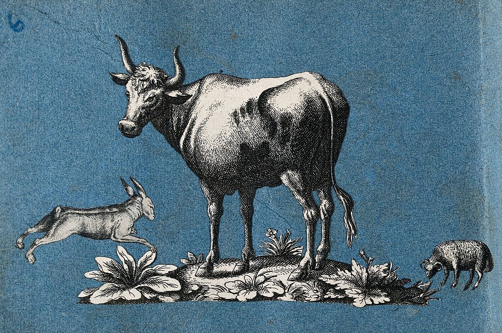 A cow, a hare and a sheep. Cut-out engravings pasted onto paper, 16--.