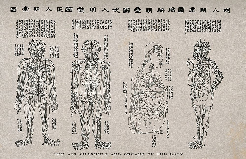 Anatomical chart, showing the air channels and organs of the body; four figures. Wood engraving  with letterpress on rice…
