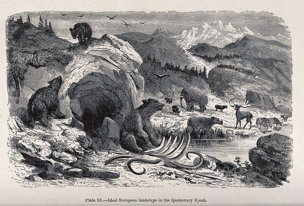An ideal landscape in the Quartenary epoch with bears, elks and mammoths. Wood engraving by Riou after E. Meunier.