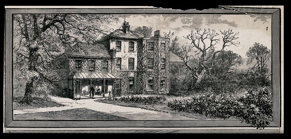 The house of Charles Darwin (Down House) in Kent: the exterior (above) and Darwin's study (below). Wood engraving by J. R.…