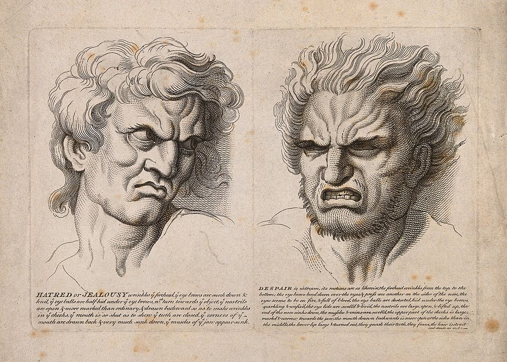 A face expressing hatred and jealousy (left) and a face expressing despair (right). Engravings after C. Le Brun.