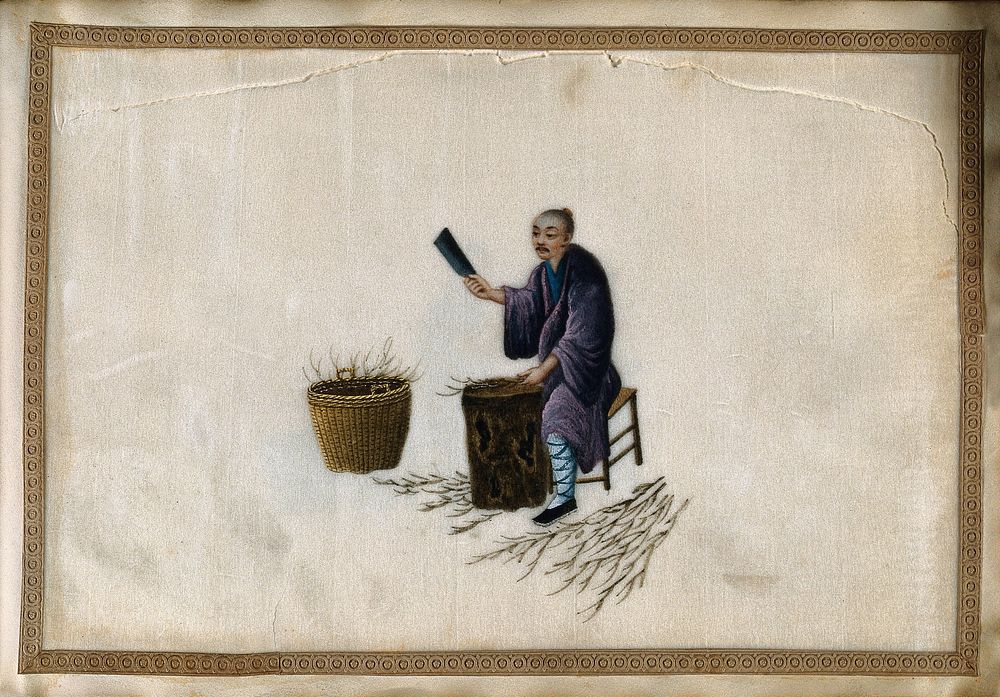 A man chopping twigs on a wooden block, perhaps as fuel  for an oven used in processing harvested tea. Gouache by a Chinese…