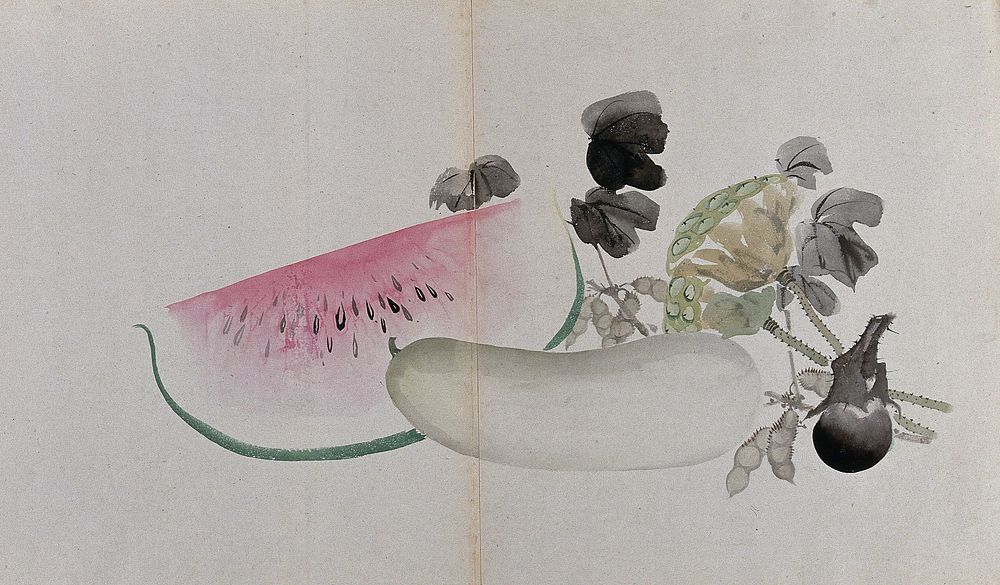 Watercolour of watermelon and other fruit and vegetables possibly squash and peas or beans.