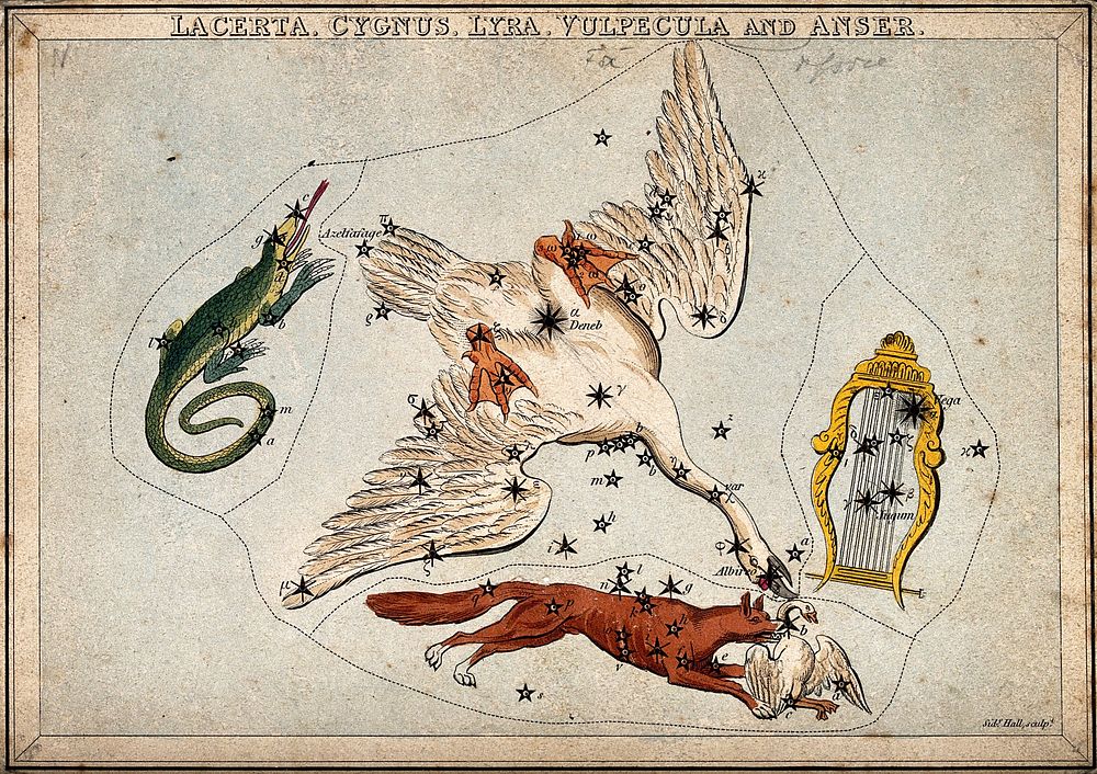 Astrology: various constellations. Coloured engraving by S. Hall.
