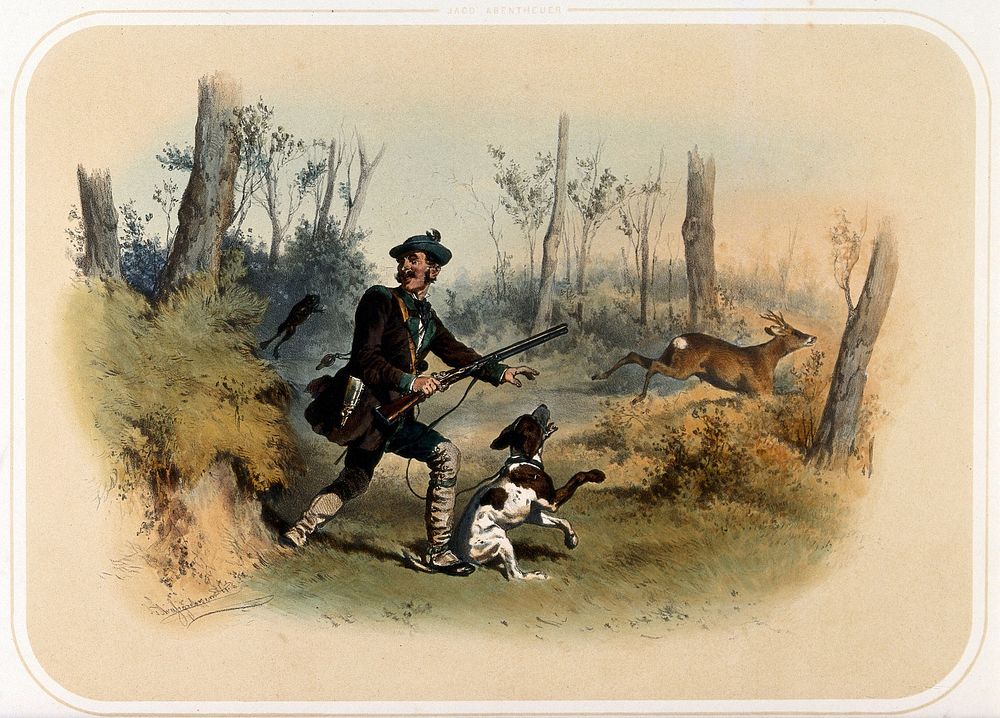 A leaping frog startles a huntsman, causing him to tread on his dog's tail and scare away the chamois buck which he was…