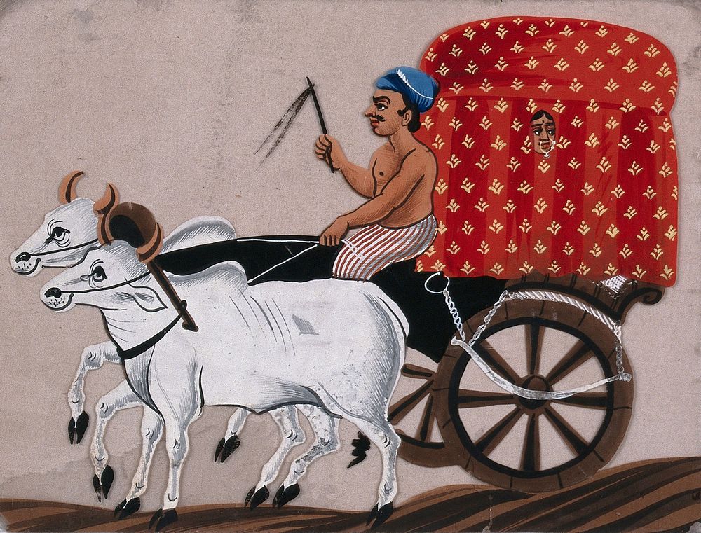A man driving a bullock pulled covered carriage with a woman sitting inside. Gouache painting on mica by an Indian artist.